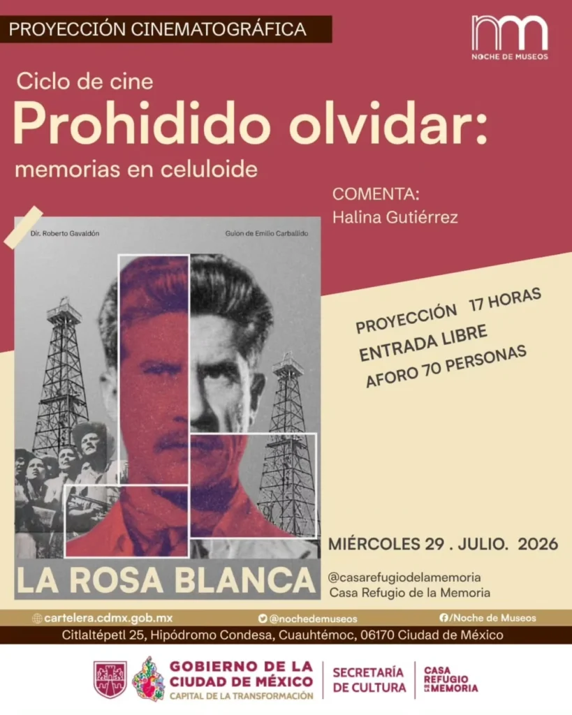 Noche de Museos: julio después del atardecer · 5