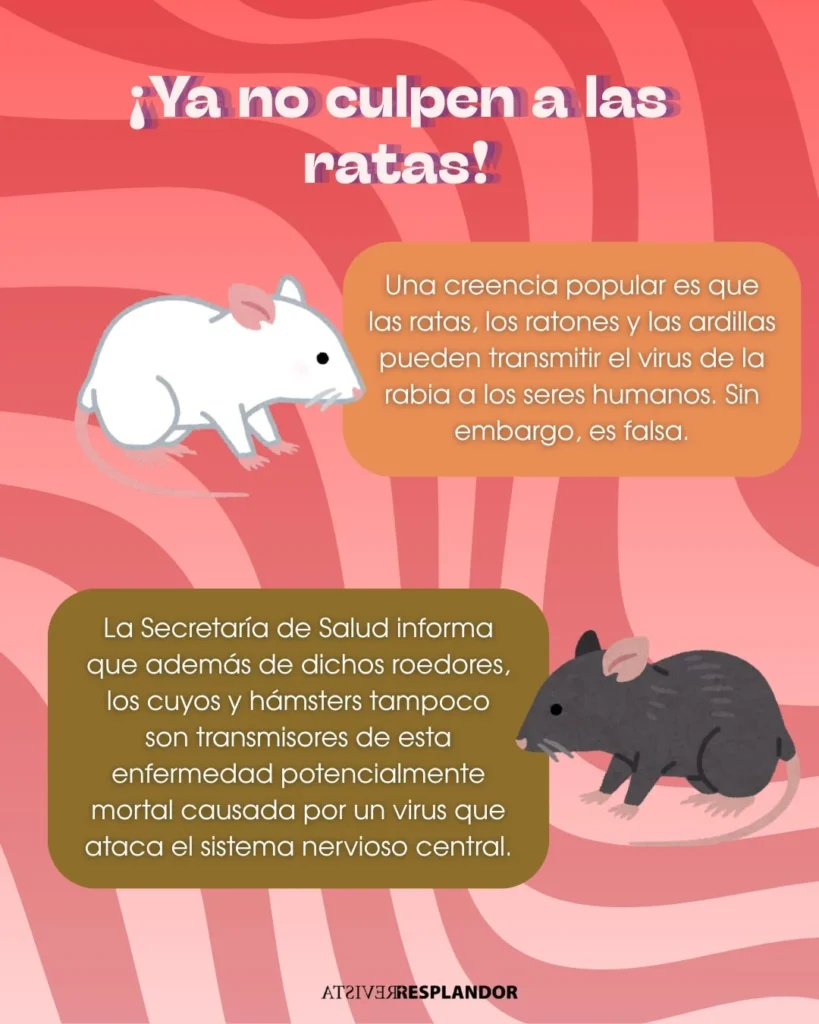Andamos rabiosas · 2