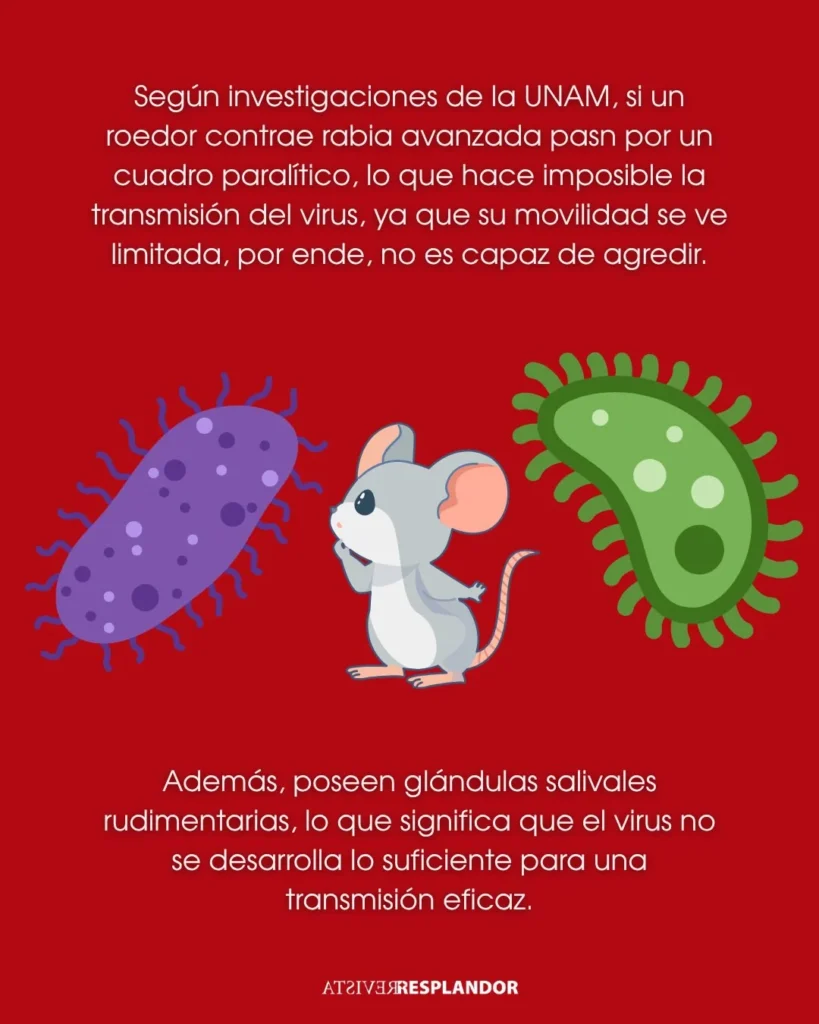 Andamos rabiosas · 3