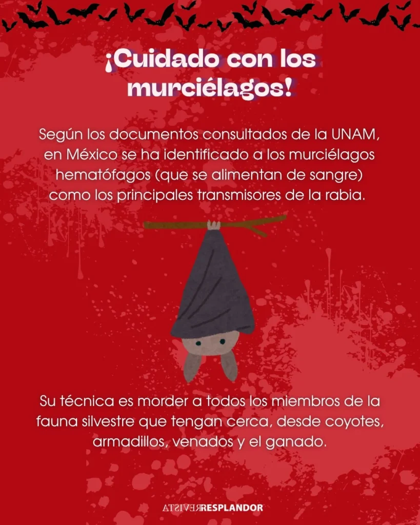 Andamos rabiosas · 7