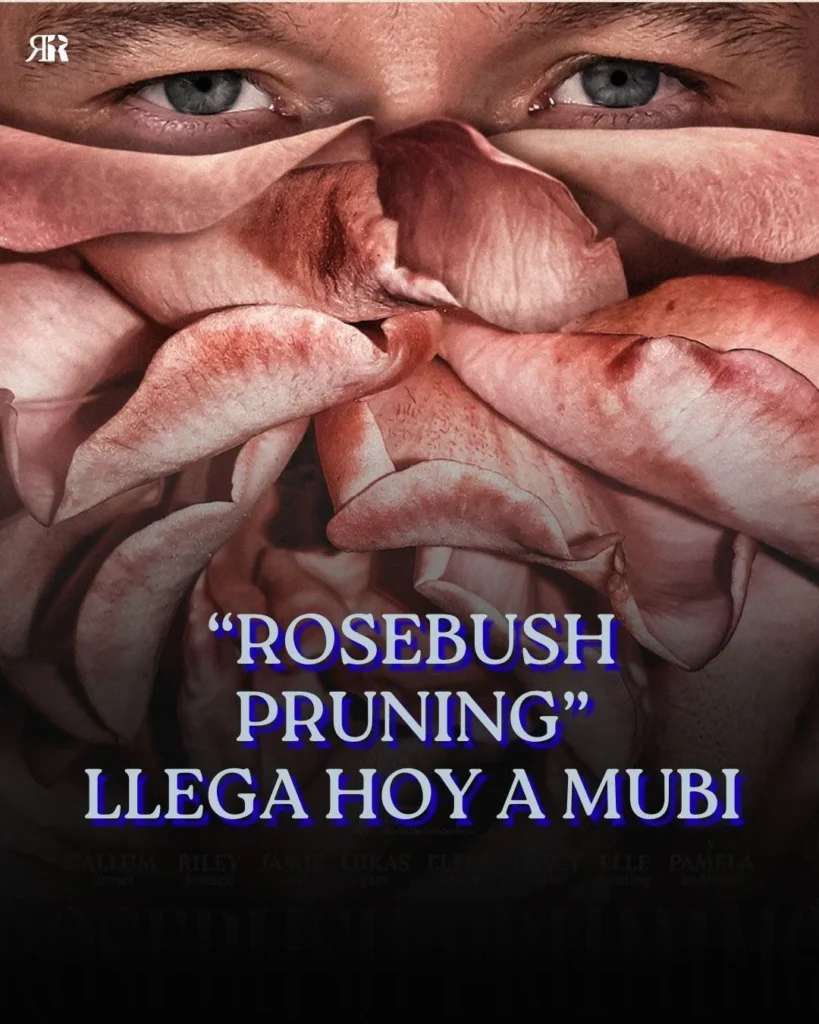 Rosebush Pruning llega a MUBI