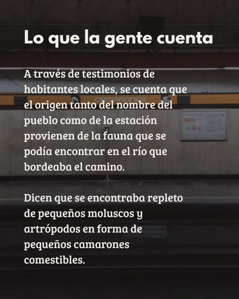 Los misterios de Metro Camarones · 7